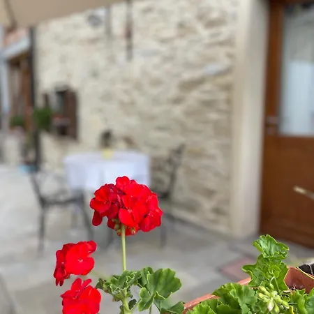 Il Tesoro Di Miro Cartosio