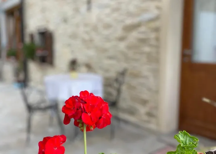 Il Tesoro Di Miro Cartosio