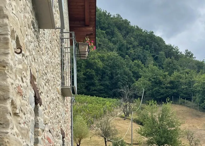 مزرعة للإقامة Il Tesoro Di Miro Cartosio